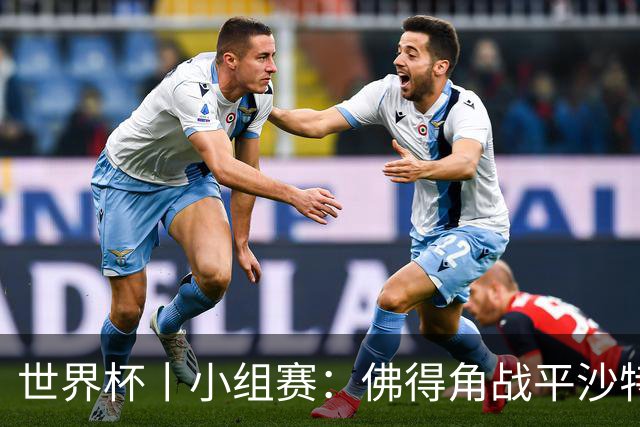 世界杯丨小组赛：佛得角战平沙特 小组第二晋级