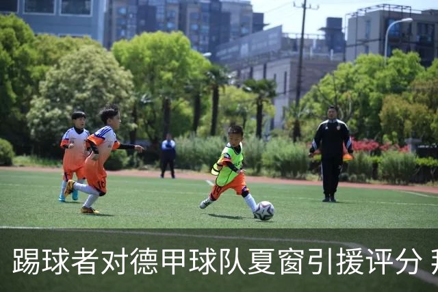 踢球者对德甲球队夏窗引援评分 拜仁第一多特第十